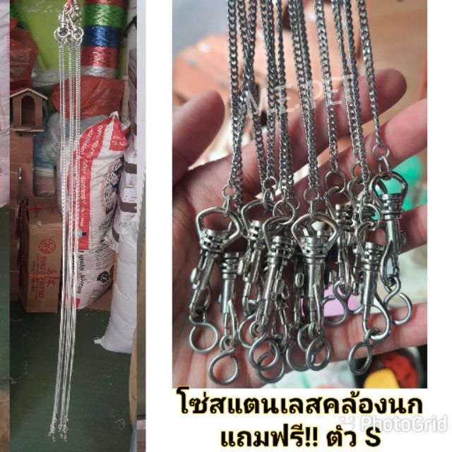 โซ่สแตนเลสคล้องนก โซ่คล้องขานก โซ่สแตนเลทคล้องนก พร้อมตัวS (โซ่นก)