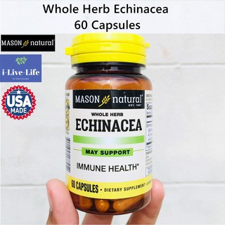 เอ็กไคนาเซีย Whole Herb Echinacea 60 Capsules - Mason Natural ช่วยเสริมภูมิต้านทานให้ร่างกายแข็งแรง