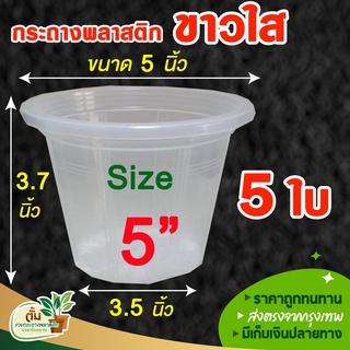 กระถาง กระถางต้นไม้พลาสติก กระถางปลูกต้นไม้ กระถางต้นไม้ กระถางใส กระถางพลาสติก  สีใส ขนาด 5 นิ้ว 5 ใบ