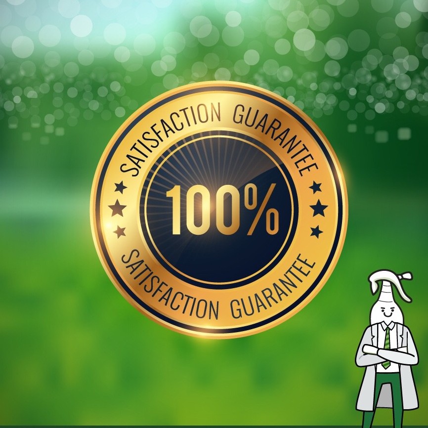 รูปภาพ 5