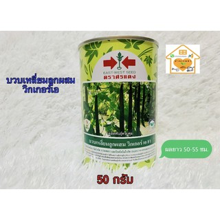 บวบเหลี่ยมลูกผสม วิกเกอร์เอ ขนาด50กรัม ตราศรแดง