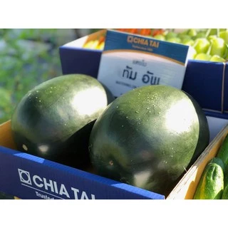 ซองละ 40กรัม แตงโมทัมอัพ แตงโมดำ เมล็ดพันธุ์ แตงโม เจียไต๋ เมล็ดแตงโม ทัมอัพ