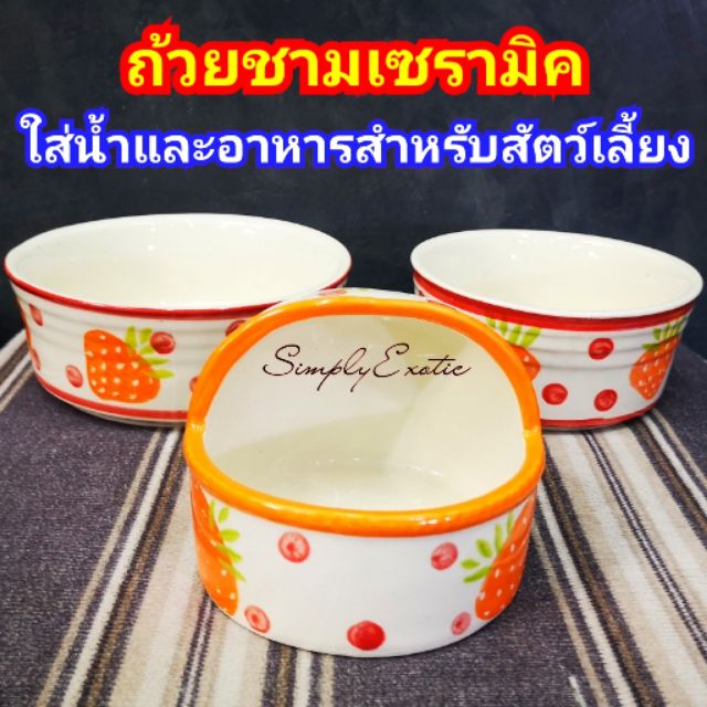 ถ้วยเซรามิคสำหรับสัตว์เลี้ยง ใส่ได้ทั้งน้ำและอาหาร  รุ่นขอบบาน และชามโดม (สุ่มสี/สุ่มลาย)