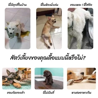 AimayaPet 120ml สเปรย์ฝึกการขับถ่าย ให้ฉี่ ห้ามฉี่ สำหรับสัตว์เลี้ยงสุนัขหมาแมวปลอดภัยไร้สารตกค้าง