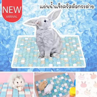 CatHoliday แผ่นน้ำแข็งคริสตัล สำหรับกระต่าย หนูแฮมเตอร์ ที่นอนกระต่าย ที่นอนเย็น