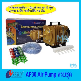 RESUN AP-30 Air Pump พร้อมสายอ๊อก 10 เมตร รวมหัวทราย 12 ลูก(คละสี) สามทาง 6 ตัว วาล์วปรับแรงลม 12 ตัว