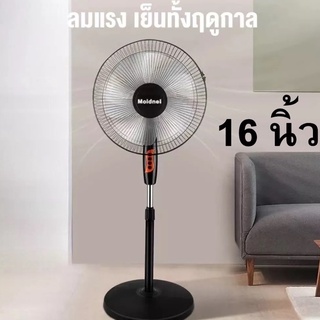 Moidnei  พัดลม  16 นิว 5 ใบพัด (สีดำ) พัดลมตั้ งพื้น พัดลมตั้งโต๊ะ  พัดลมตั้งโต้ะ พัดลมตังพื้่น พัดลมระบายอากาศ