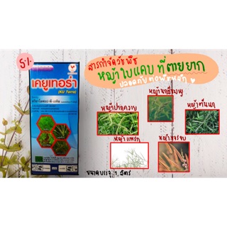 🌱เคยูเทอร่า ควิซาโลฟอป5%  สารเดียวกับ แพนเทอร่า กำจัดวัชพืชใบแคบ ตายยาก หญ้าปากควาย ตีนนก ตีนกา หญ้านกสีชมพู