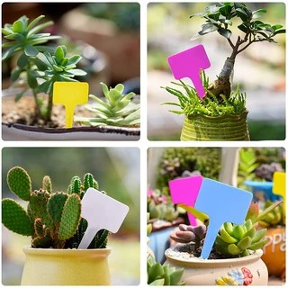 T010B ป้ายชื่อต้นไม้แพ็คละ 6x10cm 100pcs ป้ายชื่อพลาสติก PP ป้ายต้นไม้ สวน เมล็ดพันธุ์ ป้ายแท็ก