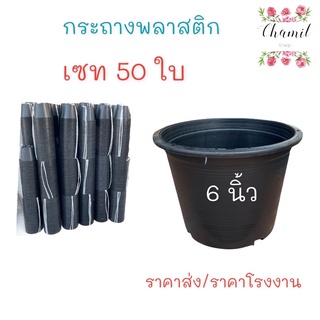 กระถางต้นไม้สีดำ ขนาด 6 นิ้ว เซท 50 ใบ # ราคาโรงงาน# ขายส่ง