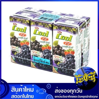 น้ำผลไม้ น้ำเบอร์รี่ 200 มล. (แพ็ค6กล่อง) Tipco ทิปโก้ คูลฟิต Berry Mix Cool Fit Fruit Juice