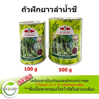 ใหม่!! ถั่วฝักยาว เมล็ดพันธุ์ ถั่วเนื้อ ลำน้ำชี มีให้เลือก 100g ,500g ศรแดง  เคลือบสารป้องกันแมลงพาหะของไวรัสใบเหลือง