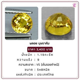 พลอยบุษราคัม Yellow Sapphire ขนาด 5x8 มม. พลอยแท้ มีใบรับรอง