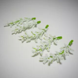 ดอกแซม ดอกข้าวฟ่าง (หัวดอก)​