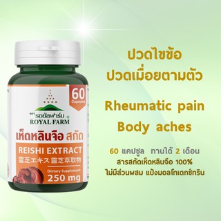 ปวดเมื่อยตามตัว ปวดไขข้อ ไขข้ออักเสบ ลดด้วยสารสกัดเห็ดหลินจือ100%  รอยัลฟาร์ม เฮิร์บ  60 แคปซูล (ไม่ผสมแป้งมอลโต)