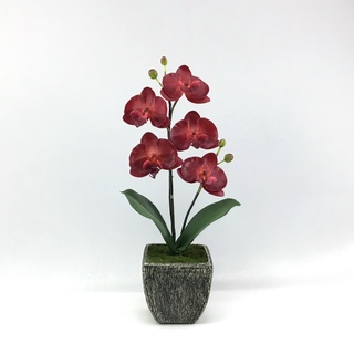 OrientalFineArt ดอกไม้ปลอม กล้วยไม้ปลอม phalaenopsis จัดในกระถาง สำหรับประดับตกแต่งบ้าน