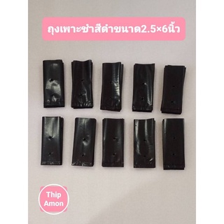 ถุงเพาะชำสีดำขนาด 2.5×6 นิ้ว จำนวน 100 ใบ