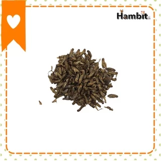 Hambit. หนอนไหมอบแห้ง จิ้งหรีดอบแห้ง สะดิ้งอบแห้ง ไม่ใส่เกลือ สำหรับสัตว์เลี้ยง