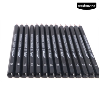 [COD] 💌14 Pcs/Set 6H 12B Artist Art Sketch Drawing Pencil Craft Tool