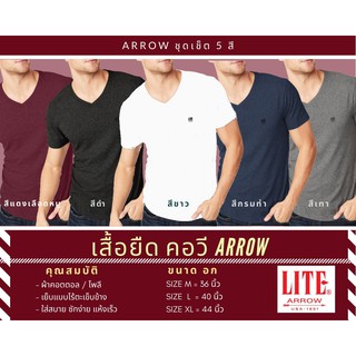 ARROW ชุดเช็ต 5 สี เสื้อยืด คอวี ไร้ตะเข็บ