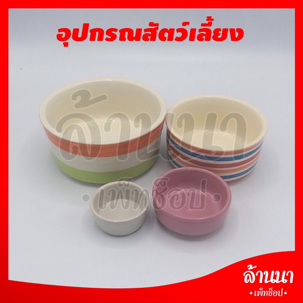 ถ้วยเซรามิกคละสี สำหรับใส่นม น้ำและอาหารสัตว์เล็ก ชูการ์ ถ้วยใหญ่ 2 หลุม