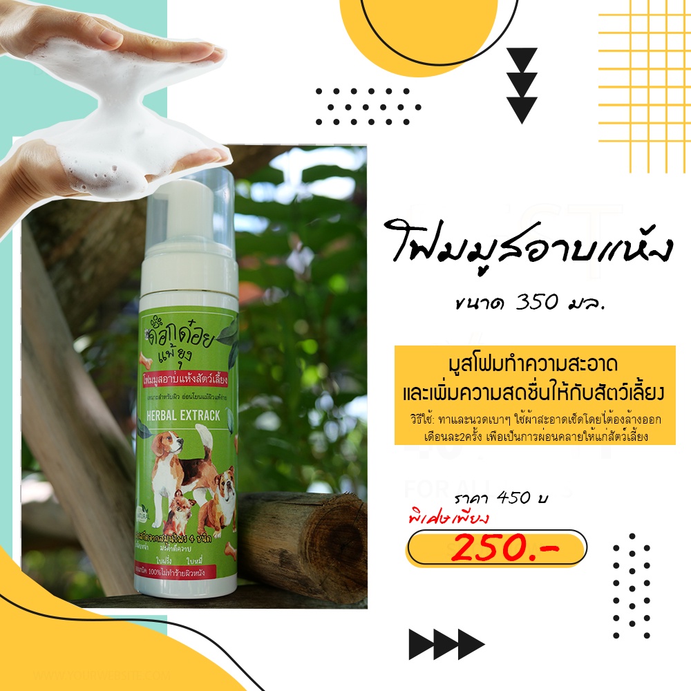 โฟมมูสอาบแห้ง สัตว์เลี้ยง