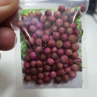 ผักชีหอม📌ถูกที่สุด10บ.📌เมล็ด​พันธุ์ผักชีหอม 100 เมล็ด☘️ปลูกง่าย 🌱โตไว👉ปลอดสารพิษ