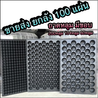 ถาดหลุม100ใบเพาะเมล็ด 200หลุม104หลุม 105หลุม 60หลุม