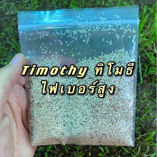 เมล็ดหญ้าทิโมธี Timothy อัลฟาฟ่า Alfalfa 30กรัม ปลูกหญ้าที่บ…