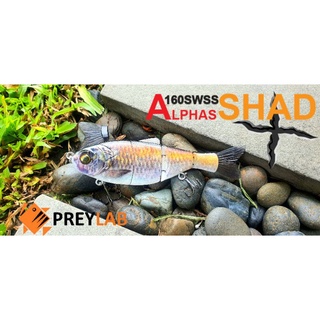 เหยื่อปลอม ปลาบั้ง Big Bait รุ่น Alphas Shad+  แอคโคตรเนียน swim bait จาก PREYLAB