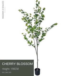 "Cherry Blossom Tree (Premium) Height 210 cm. ต้นซากุระปลอม ต้นไม้เสมือนจริง เกรดพรีเมี่ยม ความสูง 210 ซม. ต้นไม้ปลอมเ