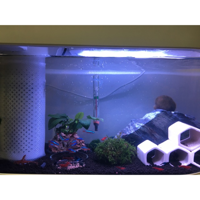 (สินค้ามือสอง) ตู้ปลา Xiaomi Geometry Fish Tank ตู้ปลาจำลองระบบนิเวศน์ในน้ำ
