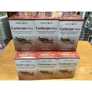 Cordyceps-plus ตังถั่งเฉ้า-พลัส อ้วยอันโอสถ เฮอร์บัลวัน