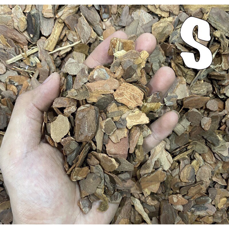 Pine Bark Bedding รองพื้นทำจากเปลือกไม้สำหรับเต่าบกและสัตว์เลื้อยคลาน 6ลิตร ราคา ถูกที่สุด ดีลบีเคเค แกลเลอรีภาพที่ 3
