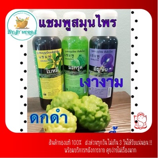 สมุนไพรไทย แชมพูสระผมสมุนไพร สันติอโศก บรรจุ300ml.ผมขึ้นดกดำ