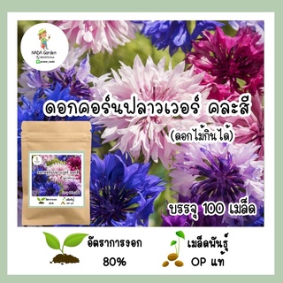 เมล็ดพันธุ์ คอร์นฟลาวเวอร์ 100เมล็ด (ดอกไม้กินได้)