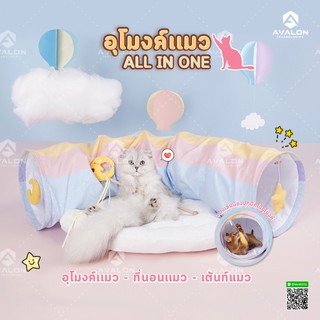 [พร้อมส่ง] ที่นอน - อุโมงค์แมว - เต้นท์แมว สำหรับ น้องแมว น้องหมา All in one ฟังก์ชั่นหลากหลาย