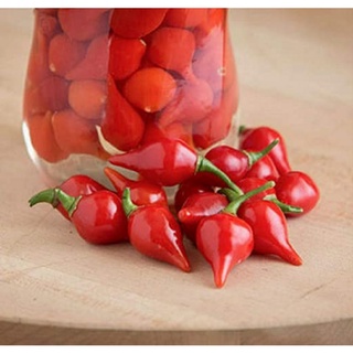 เมล็ดพันธุ์พริกไบควินโฮสีแดง Red Biquinho Hot Pepper บรรจุ 25 เมล็ด ของแท้ คุณภาพดี ราคาถูก นำเข้าจากต่างประเทศ