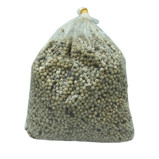 พริกไทยขาว White pepper ขนาด 100 กรัม พริกไทยขาว เครื่องเทศ พริกไทยเม็ดขาว คุณภาพดี พริกไทยขาวเม็ด