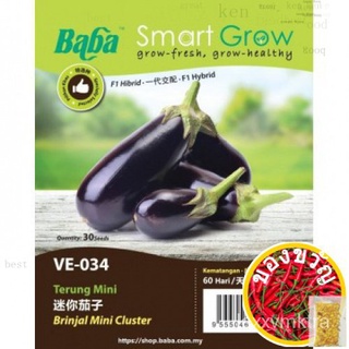 [FKF] BABA SMART GROW SEEDS / BIJIH BENIH / VE-034 TERUNG MINI @ LONG BRINJAL MINI CLUSTER向日葵/通心菜/头饰/鲜花/手链/玫瑰/男装/花园/苹果/香