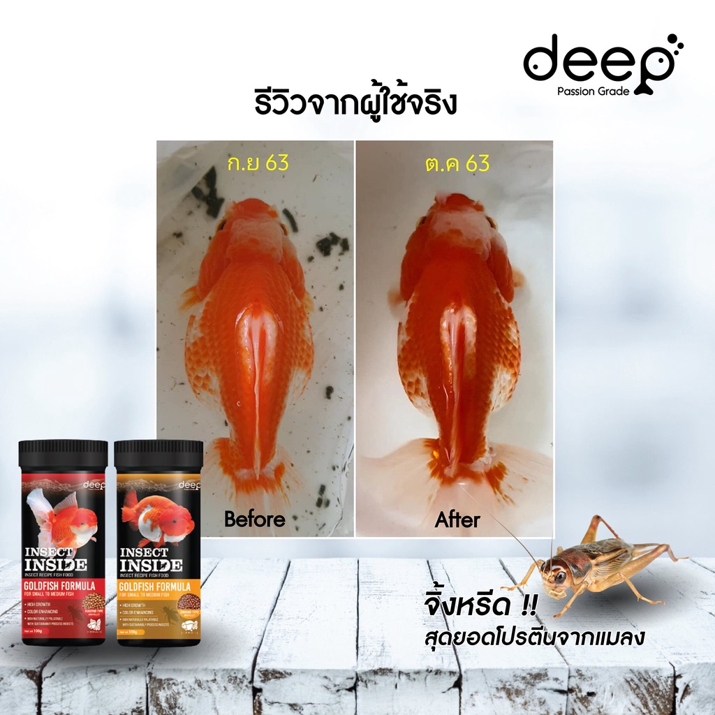 DEEP INSECT INSIDE!! (อาหารปลาทองสูตรผสมโปรตีนจากแมลง โปรตีนสูง เร่งโต เร่งสี ไม่ทำให้น้ำขุ่น) ราคา ถูกที่สุด ดีลบีเคเค แกลเลอรีภาพที่ 6