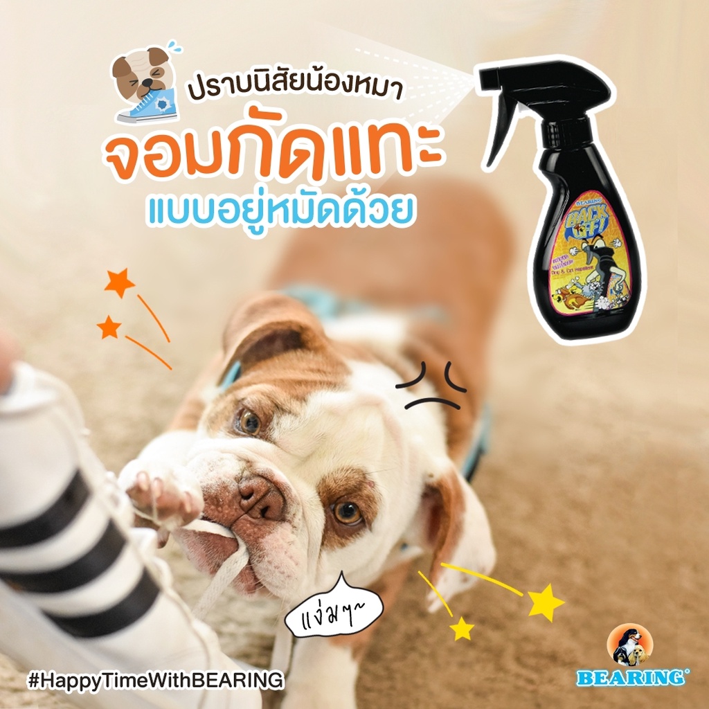 รูปภาพ 8