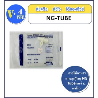 สายให้อาหารทางจมูกผู้ใหญ่ NG Tube เบอร์ 12 (6 เส้น) (p1)