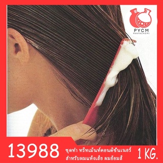 13988 PYCM-156 ชุดทำ ทรีทเม้นท์คอนดิชั่นเนอร์ สำหรับผมแห้งเสีย ผมย้อมสี -1kg.