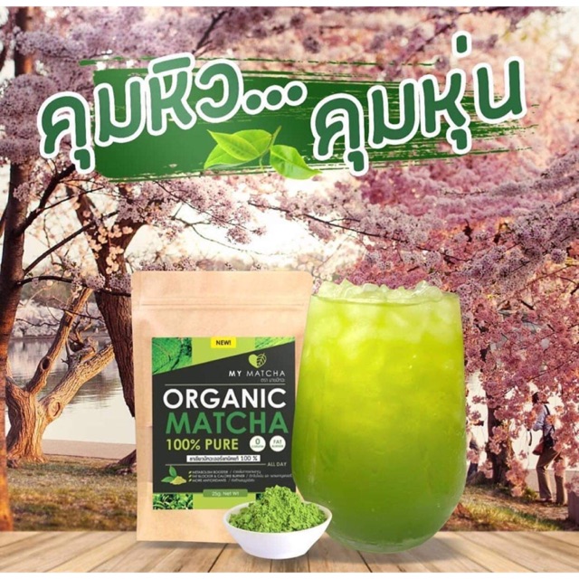 MY MACHA ชาเขียวมัจฉะ❤️