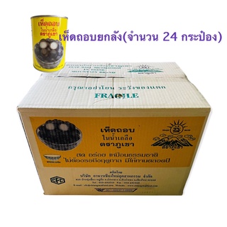 เห็ดถอบขายยกลัง จำนวน 24 กระป๋อง (น้ำหนักต่อกระป๋อง 500g. (เนื้อ 250/น้ำ 250)) เห็ดถอบ เห็ดถอบกระป๋อง ตราภูเขา เห็ดเผาะ