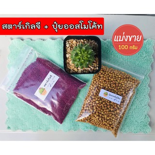 Local ฟาร์มสุข 🍂 สตาร์เกิล จี (Starkle G) + ออสโมโค้ท (Osmocote) 100 กรัม