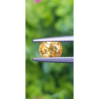 พลอย บุษราคัม yellow sapphire 1.05 กะรัต (Cts.) พลอยแท้ อัญมณีมงคลประจําวันเกิด