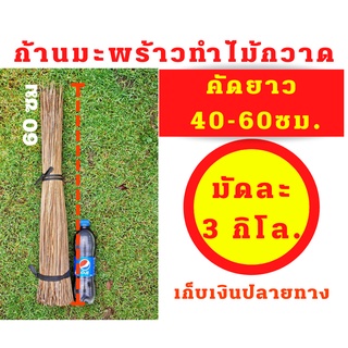 3 โล ก้านทางมะพร้าวทำไม้กวาด ยาว 40ซม ถึง 60ซม ก้านเหลาใหม่ ไม่ผุ ไม่ชื้น ไม่ขึ้นรา เก็บเงินปลายทางได้