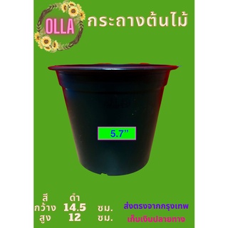 กระถางต้นไม้พลาสติก 5.7 นิ้ว  จำนวน 100 ใบ